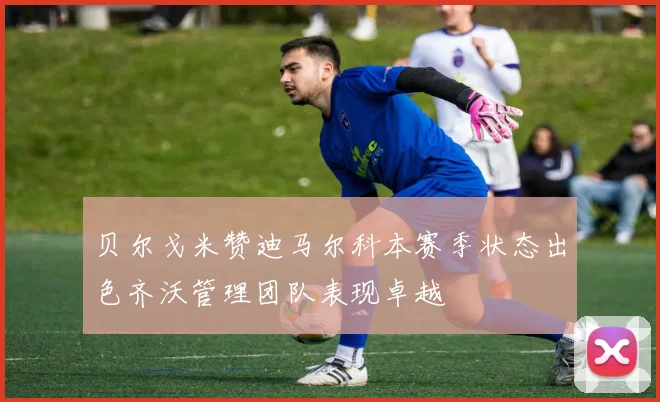 贝尔戈米赞迪马尔科本赛季状态出色齐沃管理团队表现卓越